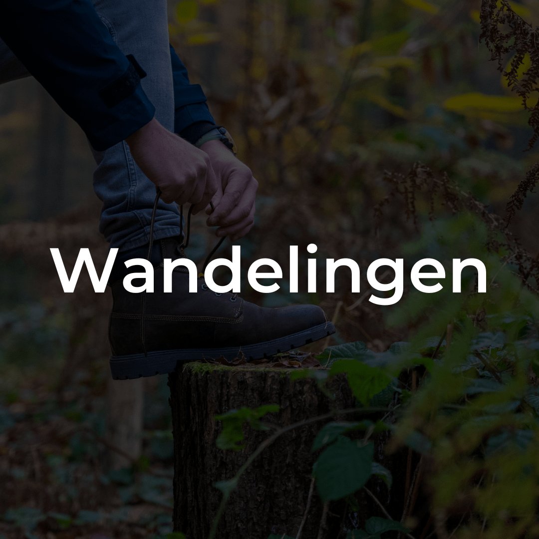 Wandelen