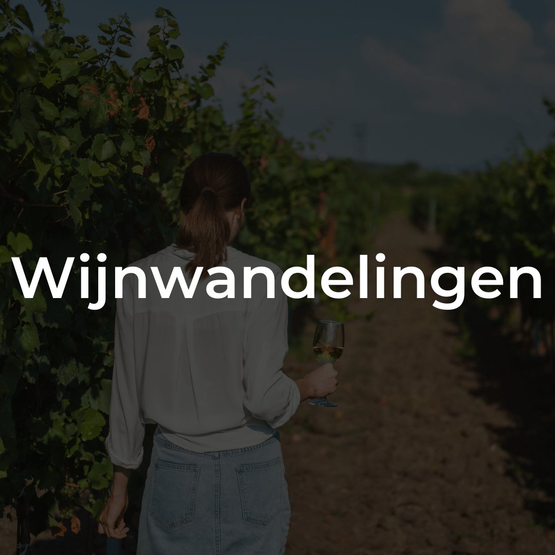 Wijnwandelingen