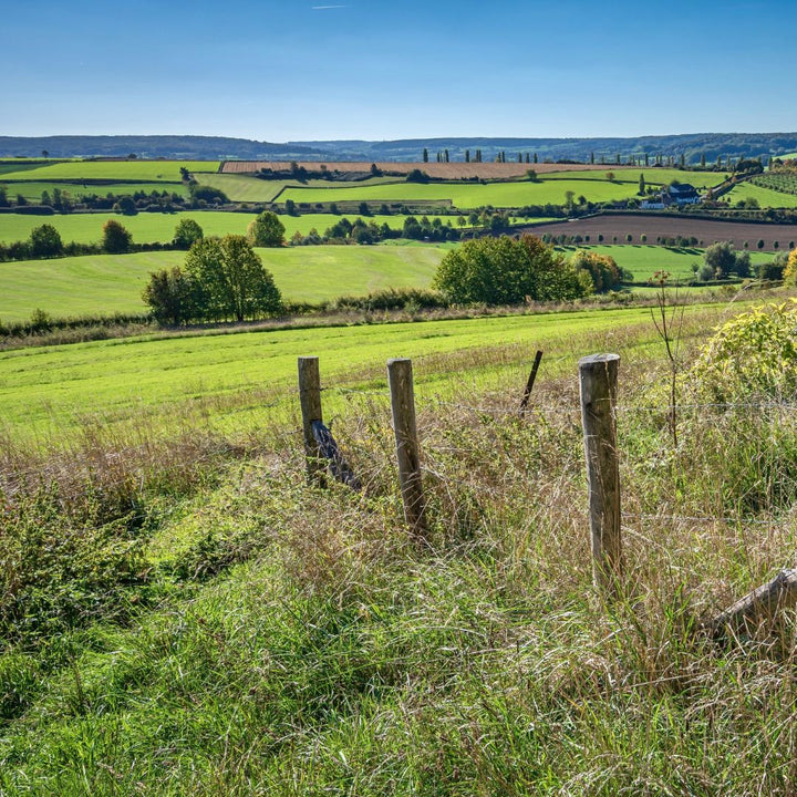 Wandelen Zuid-Limburg