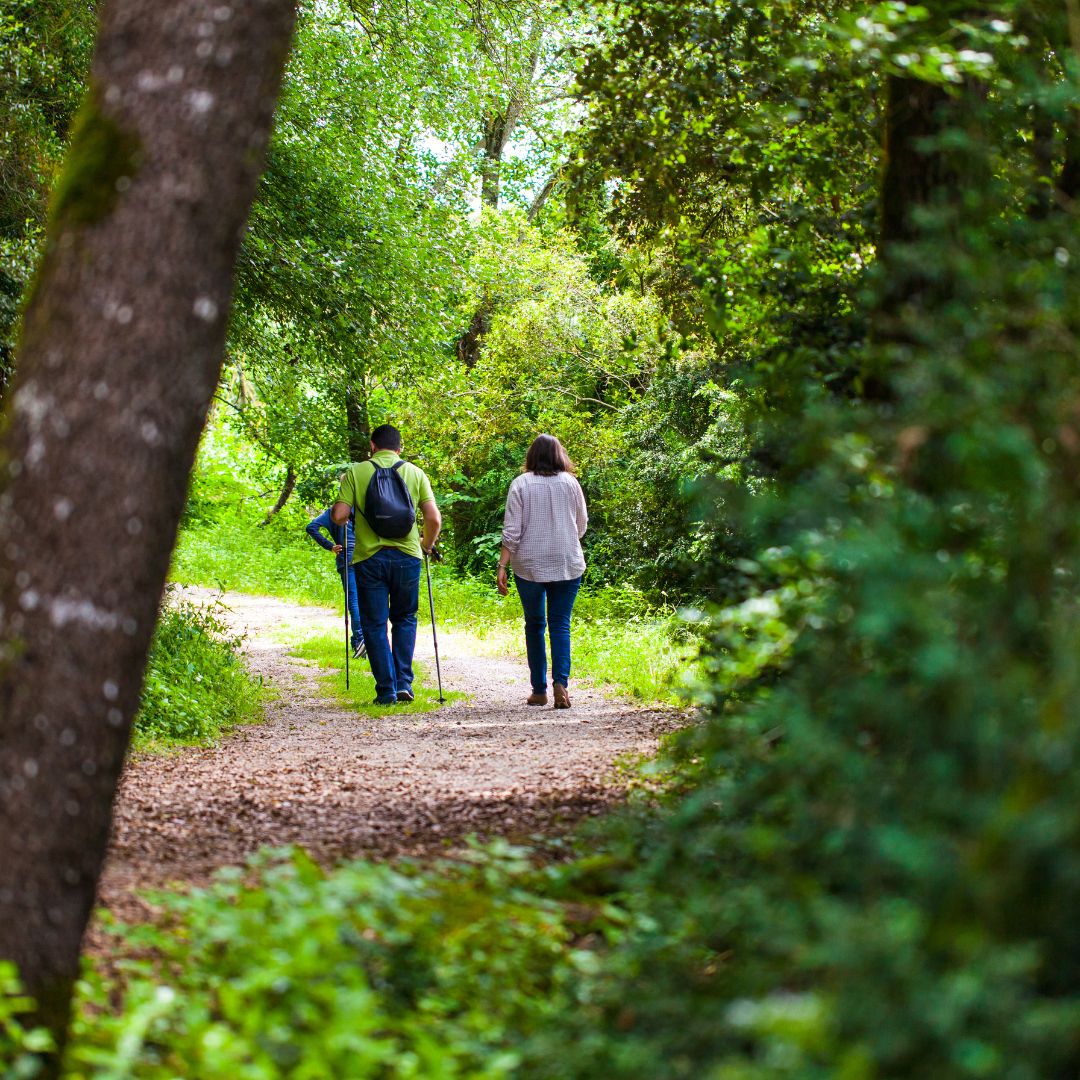 wandelen in bos