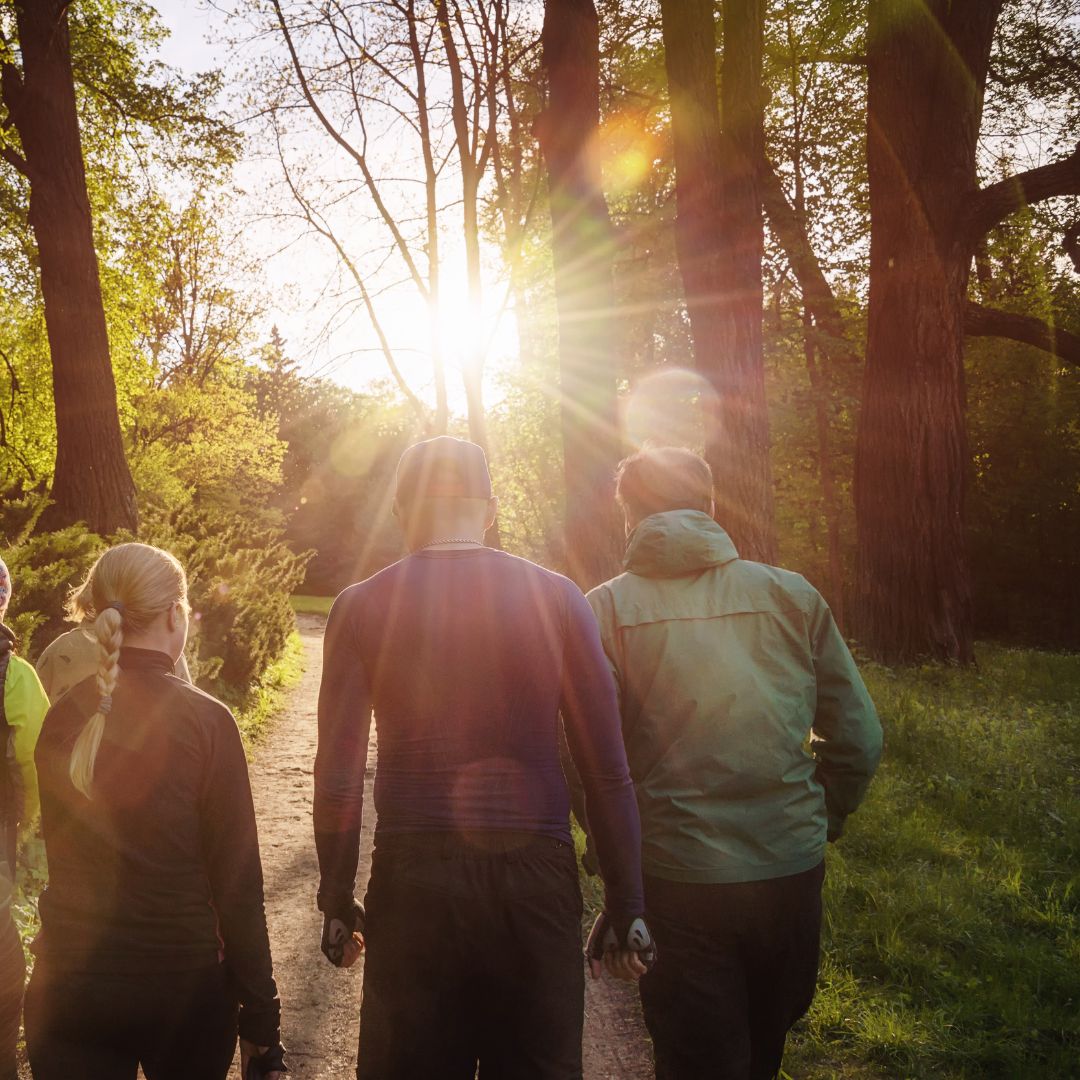Wandelen in bos