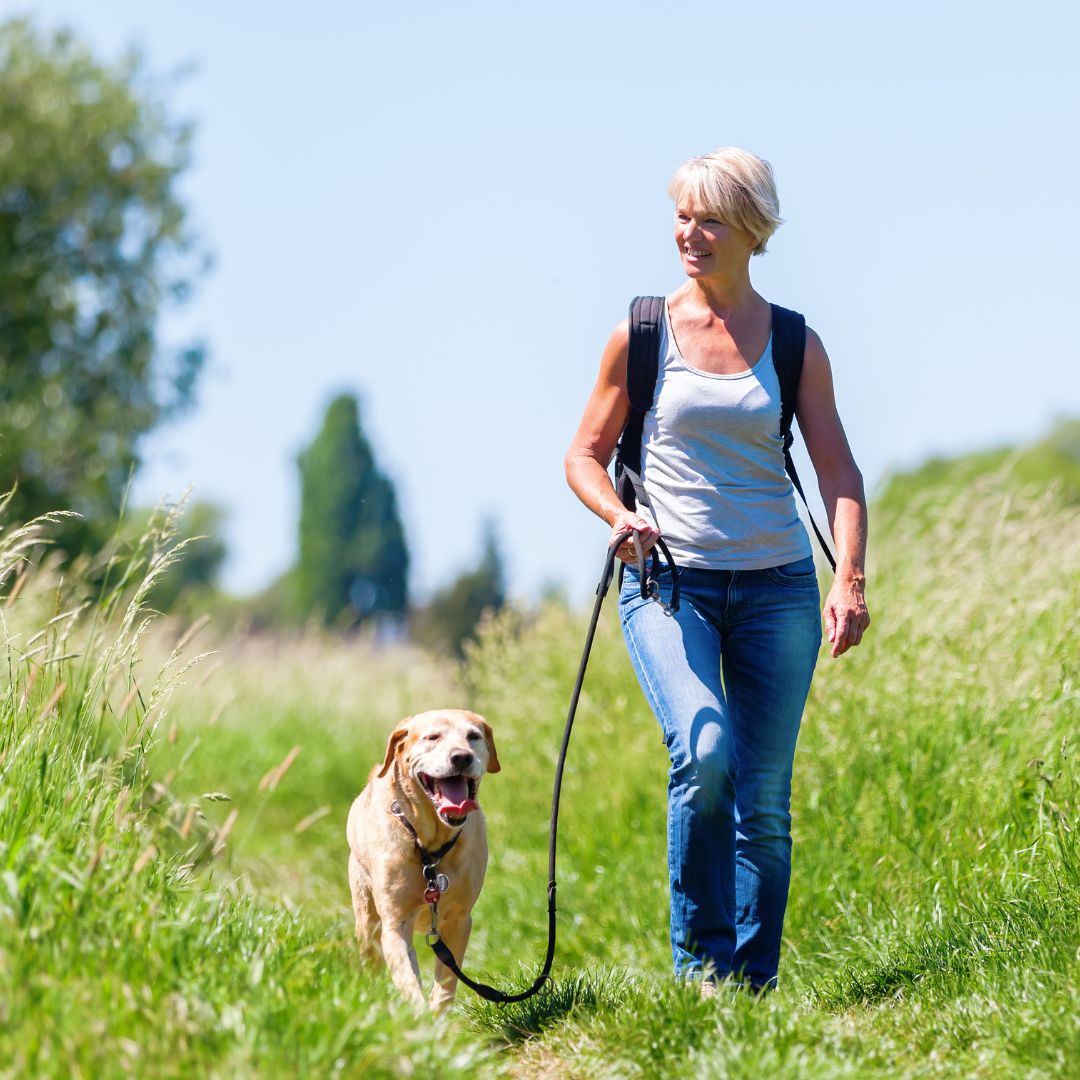 wandelen met hond
