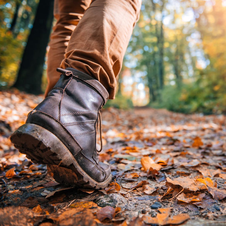 Wandelen in bos