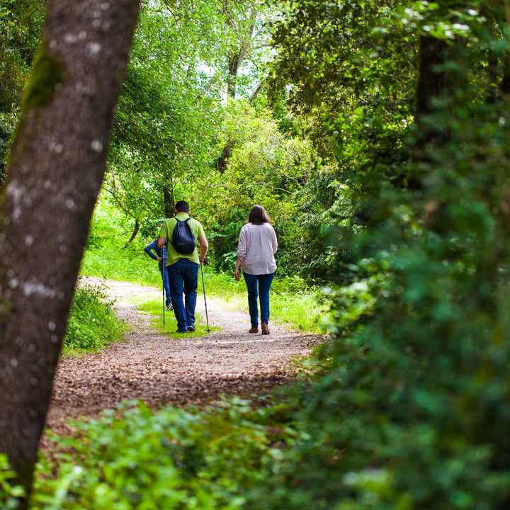 wandelen in bos