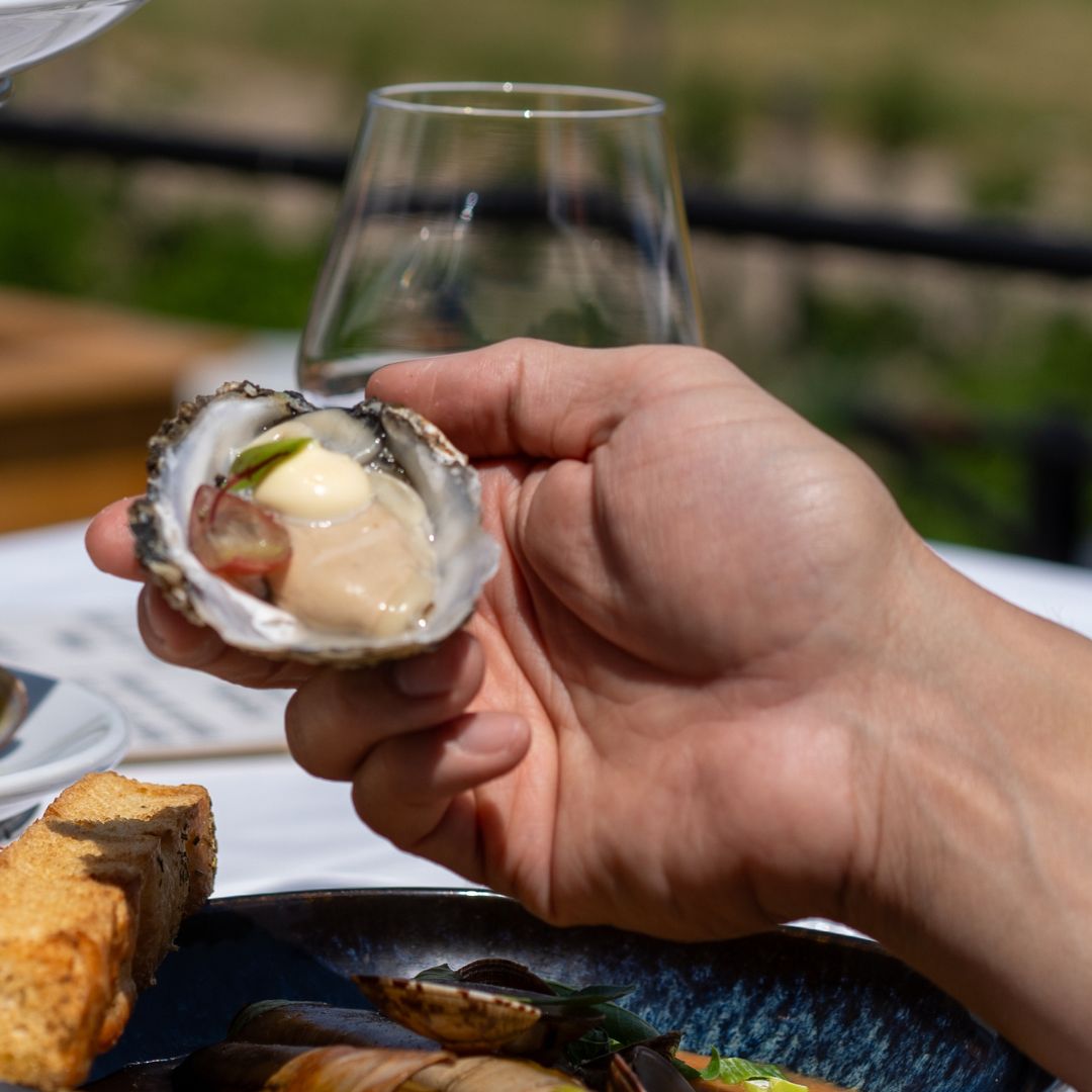 Oester