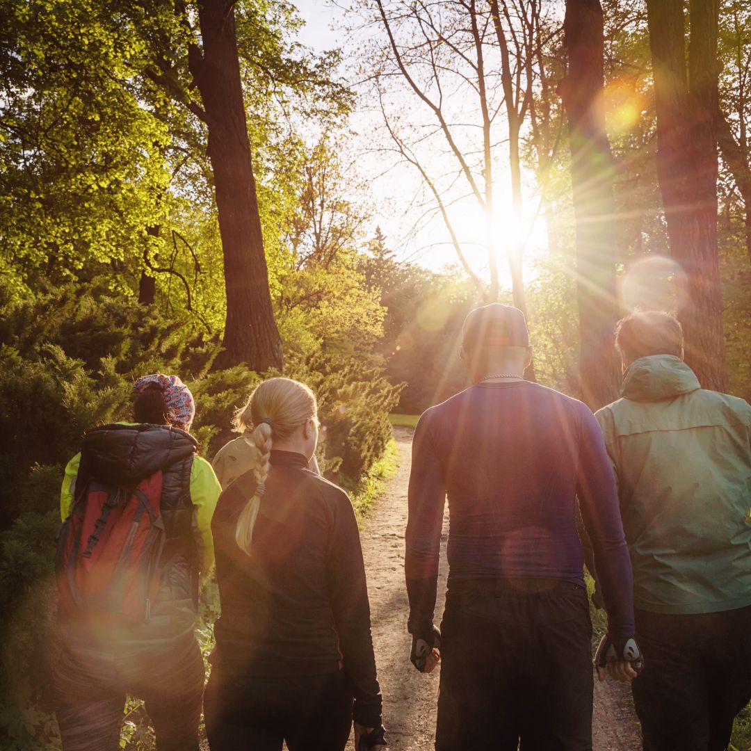 Wandelen