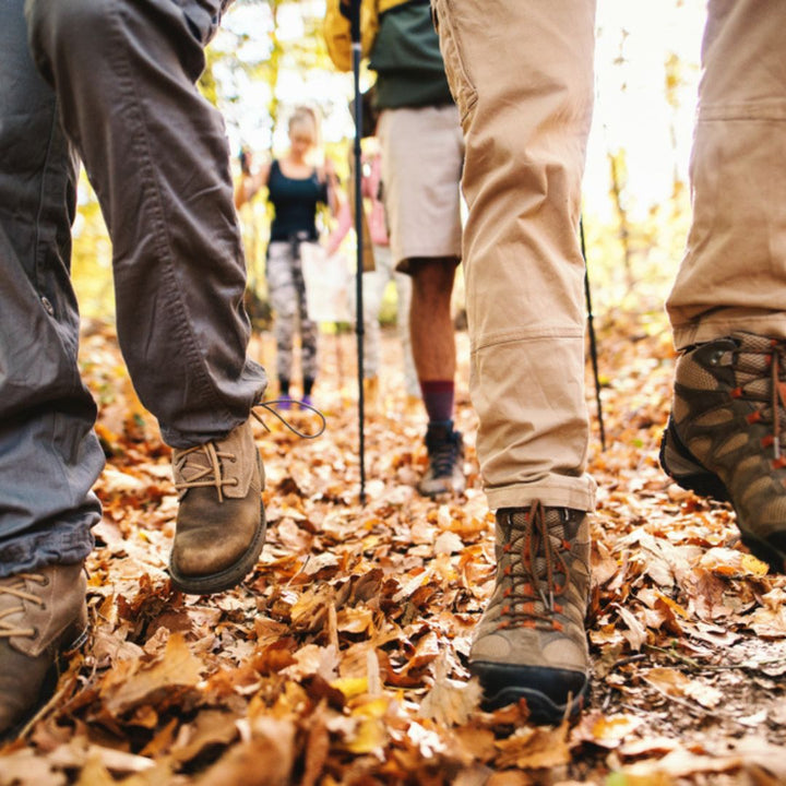 Wandelen bos