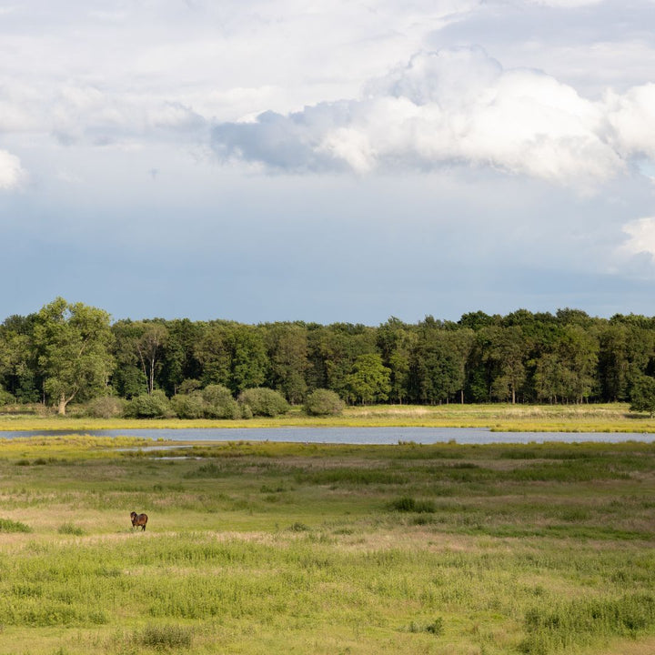 Wandelen in Nederweert-Eind