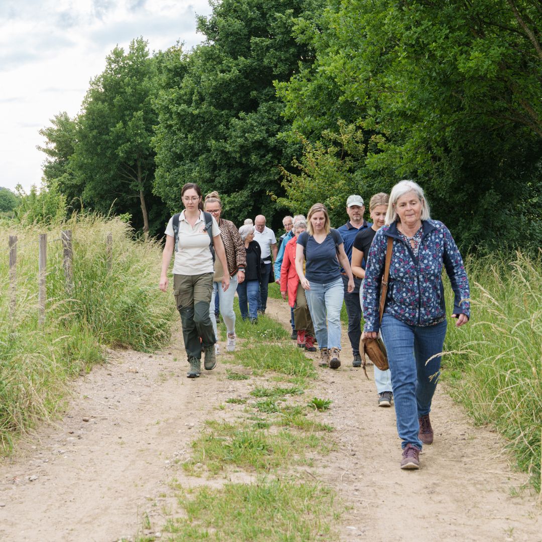 Wandelen in Land van Kalk