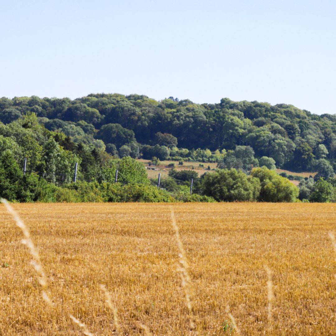 Wandelen Teuven