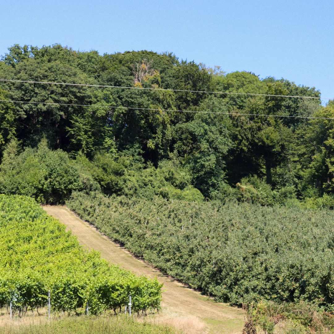 Wandelen Teuven