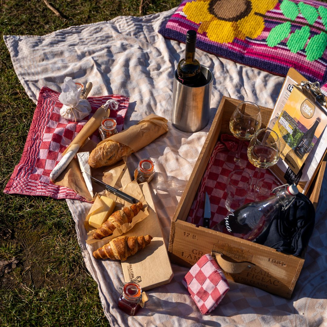 Picknick bij Wijngoed Vinea Cura