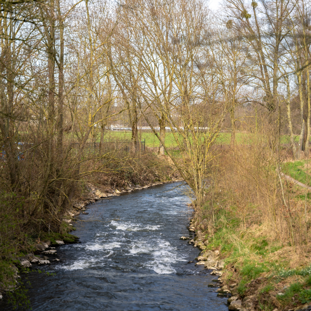 Stap & Hap bij D'r Eck Rimburg