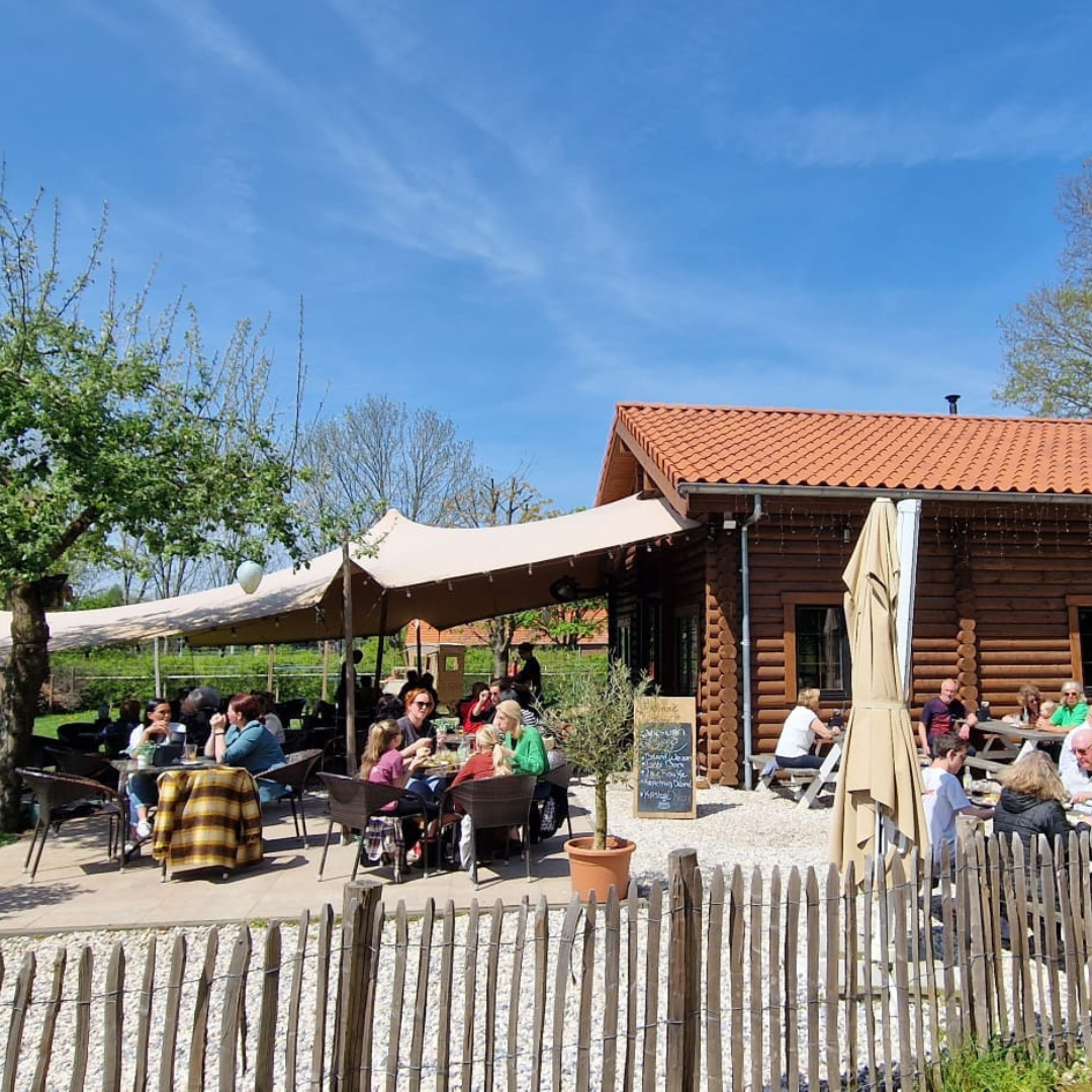 terras dikke daniker