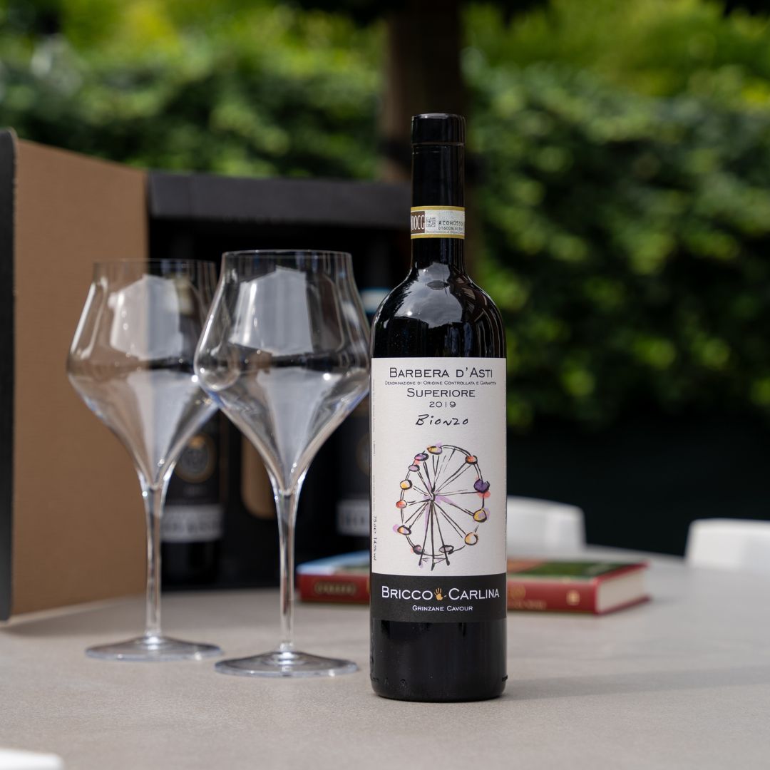 Barbera d'Asti Superiore "Bionzo" 