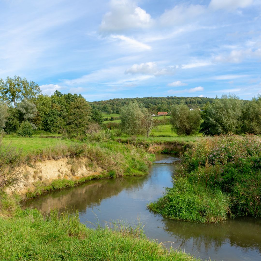 Geul in Mechelen