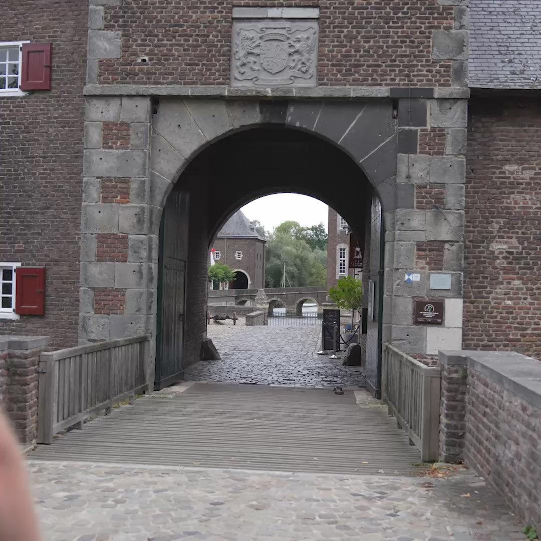 Stap (of trap) & Hap De Blauwe Dame