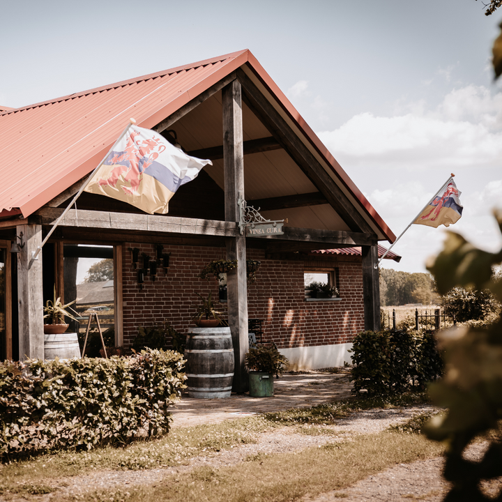 Picknicken in de wijngaard van Wijngoed Vinea Cura in Helden